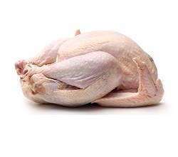 بوقلمون گرم یزد 